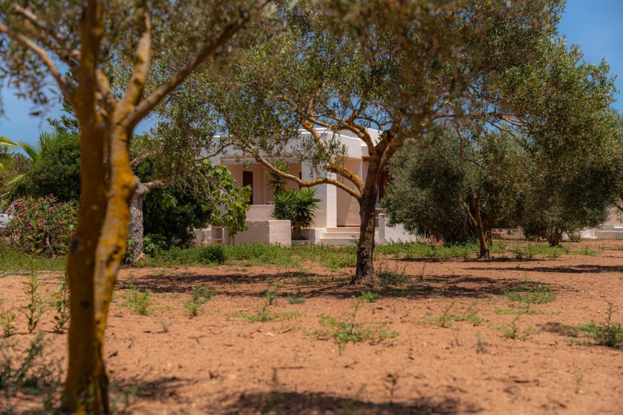 Siamoformentera Villa Beatrice Platja de Migjorn Eksteriør billede